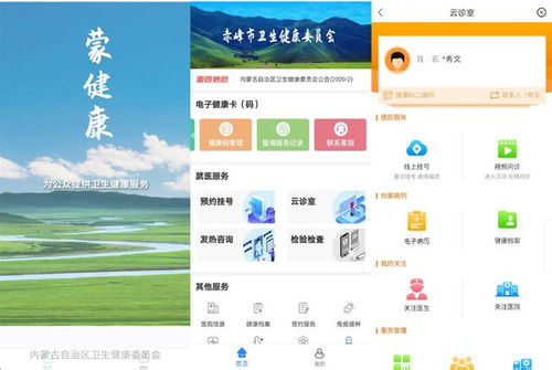 榜樣的力量 內蒙古自治區(qū)互聯(lián)網醫(yī)療服務系統(tǒng)在新冠戰(zhàn)疫中的數(shù)據(jù)驅動實踐